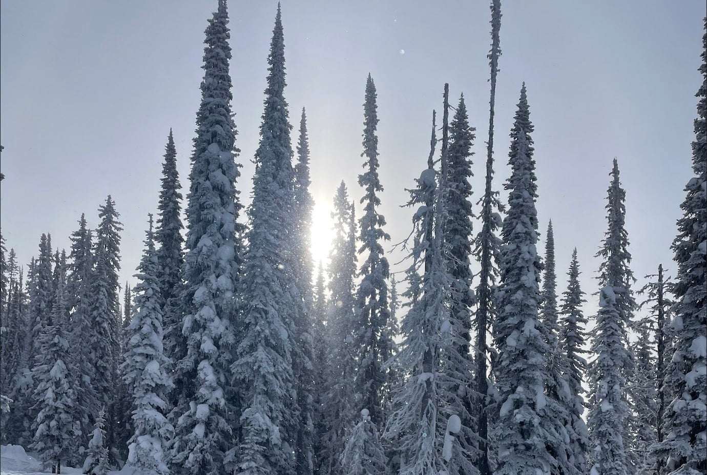 Winter Returns To The West In The Next Few Weeks - Unofficial Networks