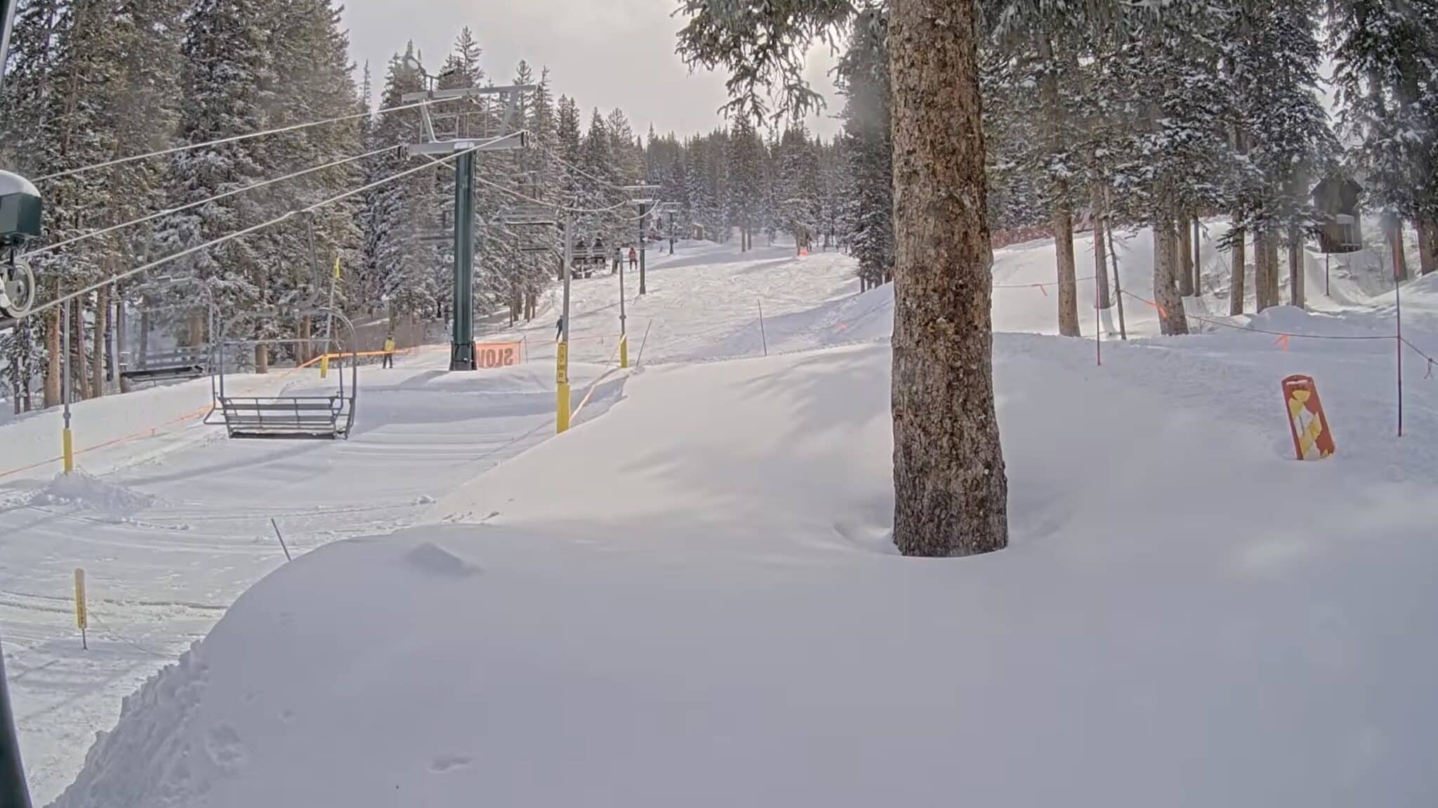 unofficialnetworks.com