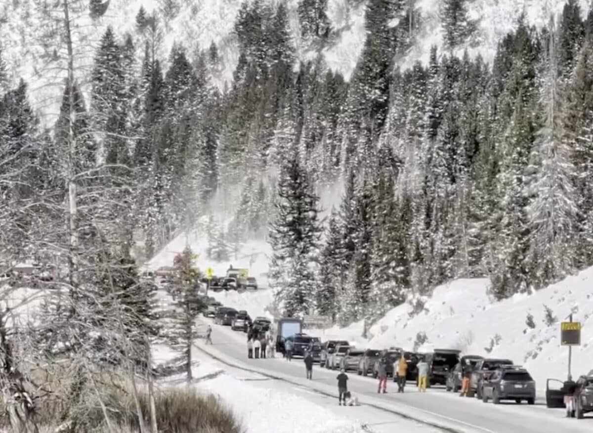 Search & Rescue Crews Respond To Backcountry Avalanche in Big Cottonwood Canyon