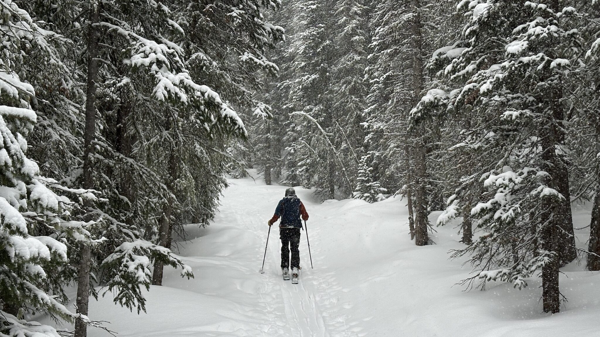 5 Exercises Every Backcountry Skier and Splitboarder Should Be Doing This Season