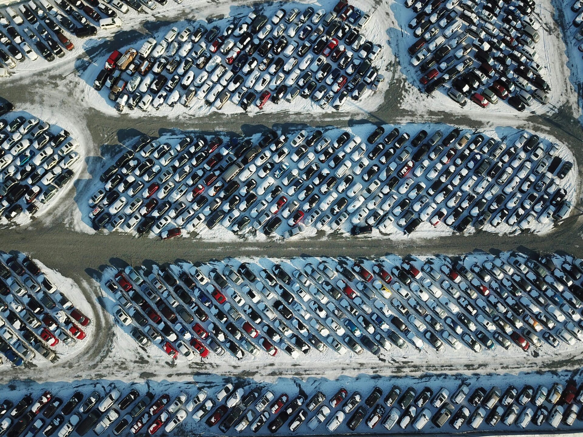 pexels giantasparagus 35627348