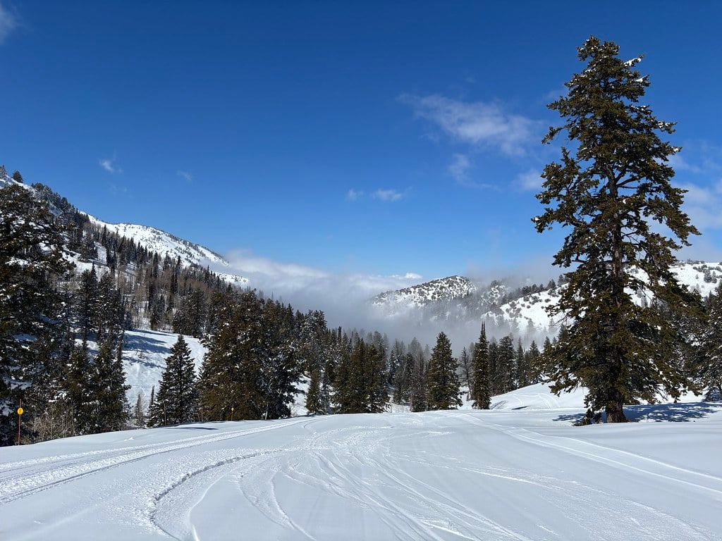 Views from Powder Mountain.