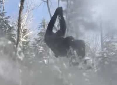 NYS Department of Environmental Conservation