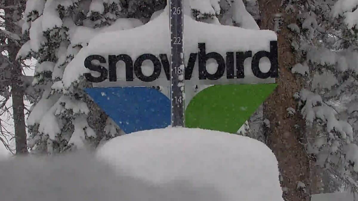 Massive snow totals at Snowbird.