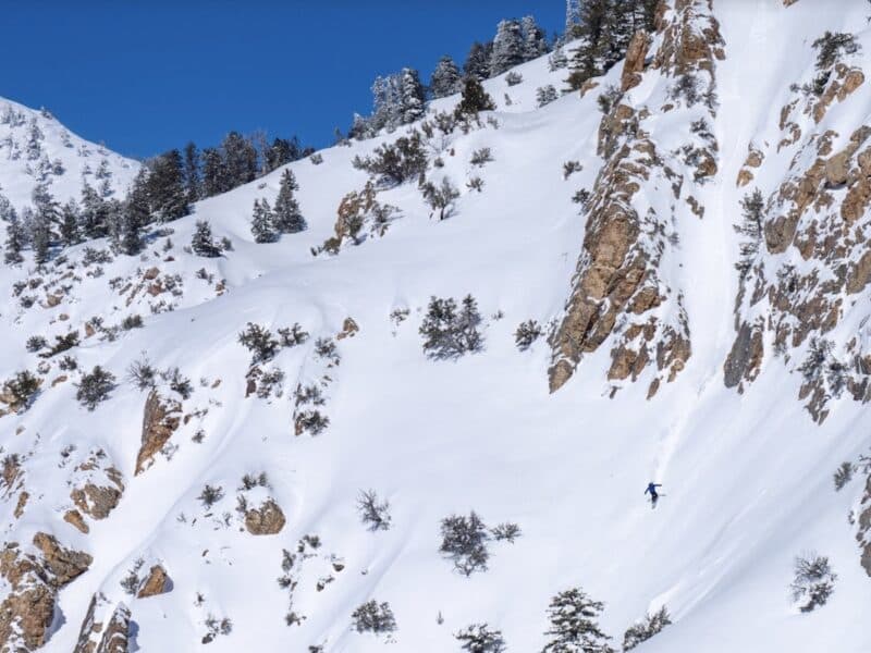 DMI (Don't Mention It).