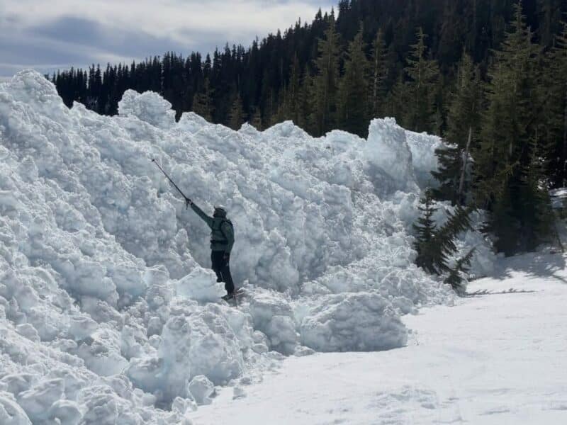 Avalanche debris on Mount Hood.