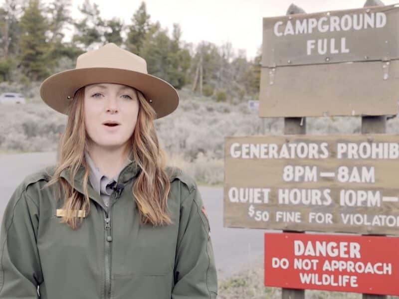 Tips for a summer Yellowstone visit.