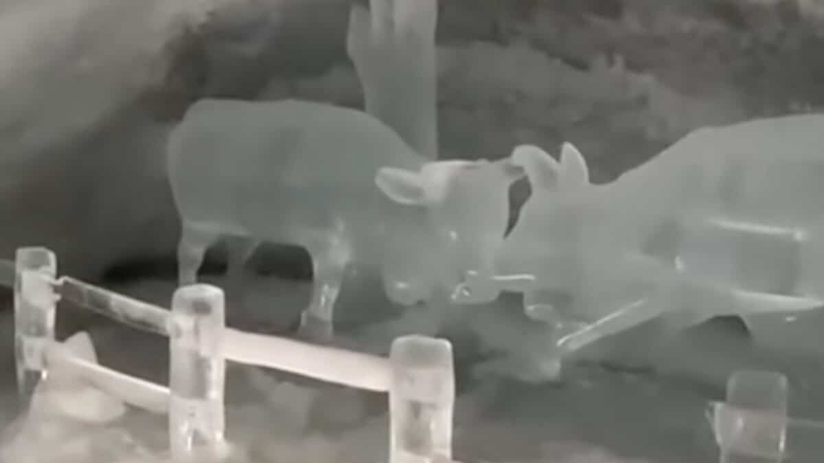 Ice cave at Zermatt.