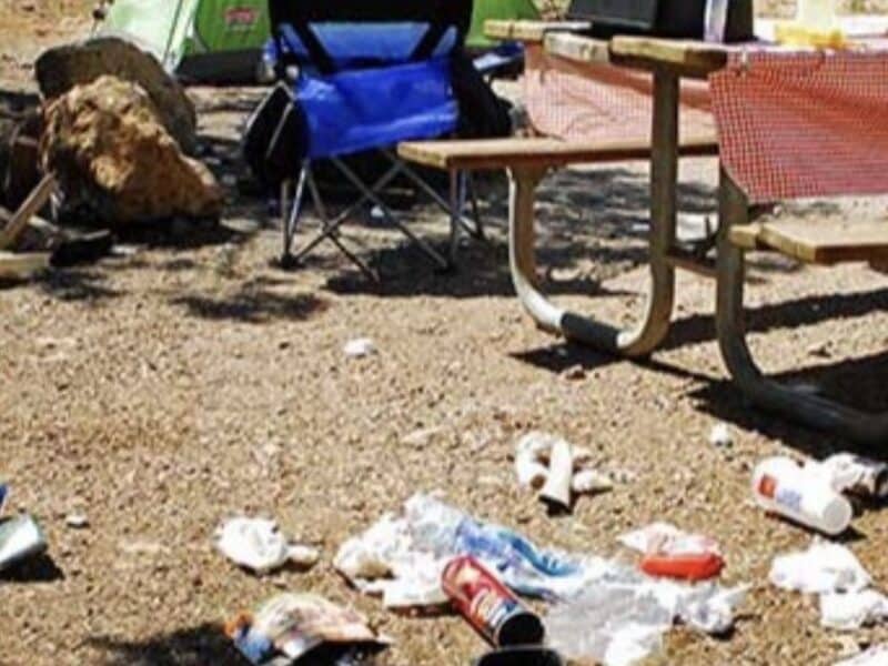 Ravens wreak havoc on a campsite in Grand Canyon NP.
