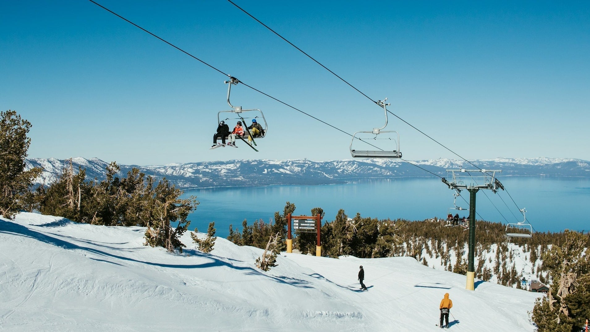 unofficialnetworks.com