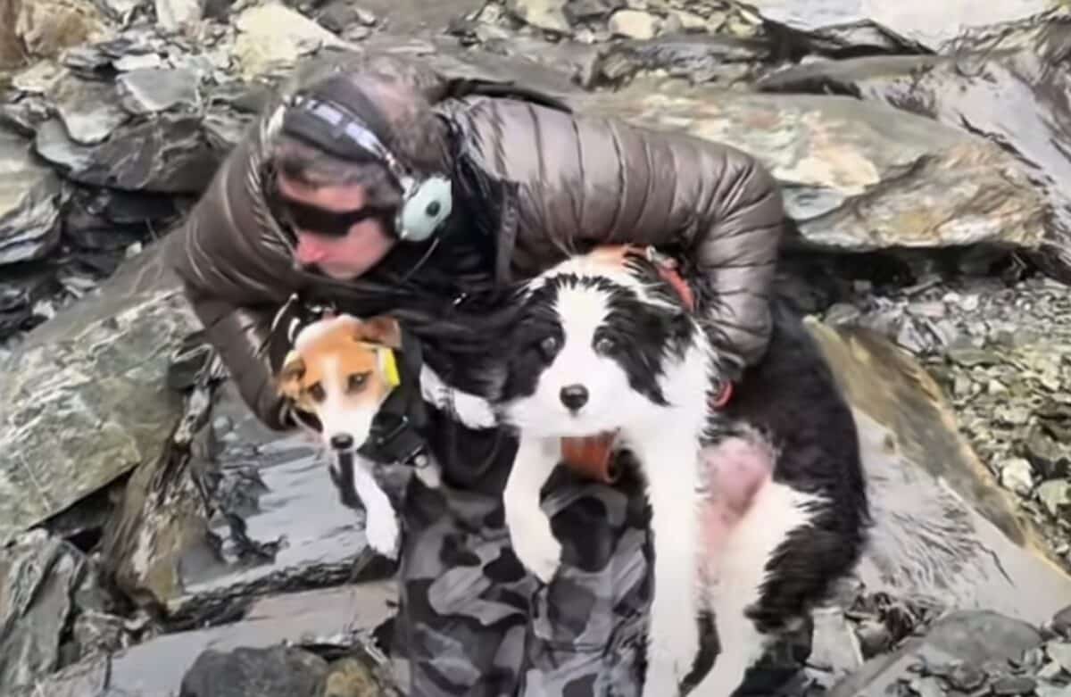 Strangers Fund $6000 Helicopter Search That Saves Hiker’s Lost  Dog