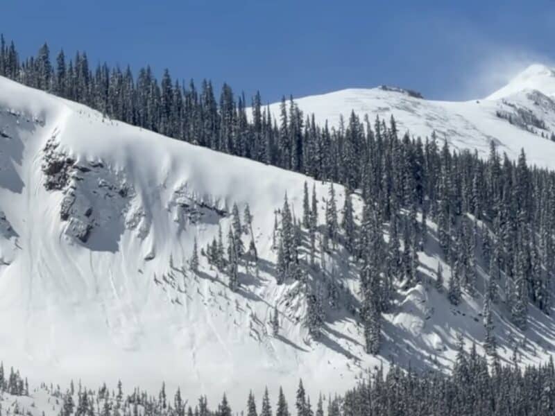 Avalanche debris in Colorado.
