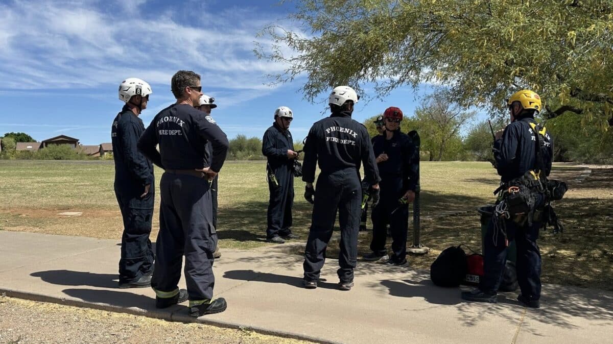 Phoenix Hiker Rescued After Being Stung Over 100 Times By Bees