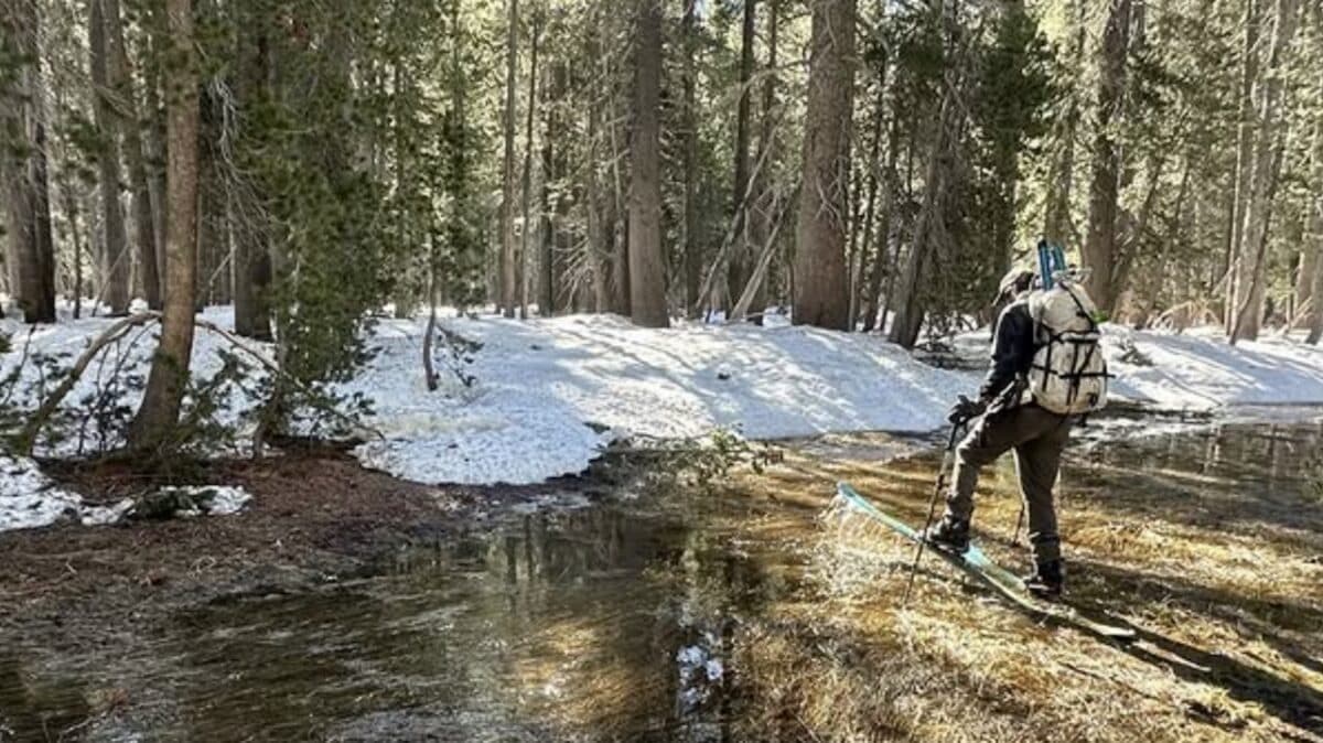 Snowpack in Yosemite National Park Drops to 37% of Average After Brutal March