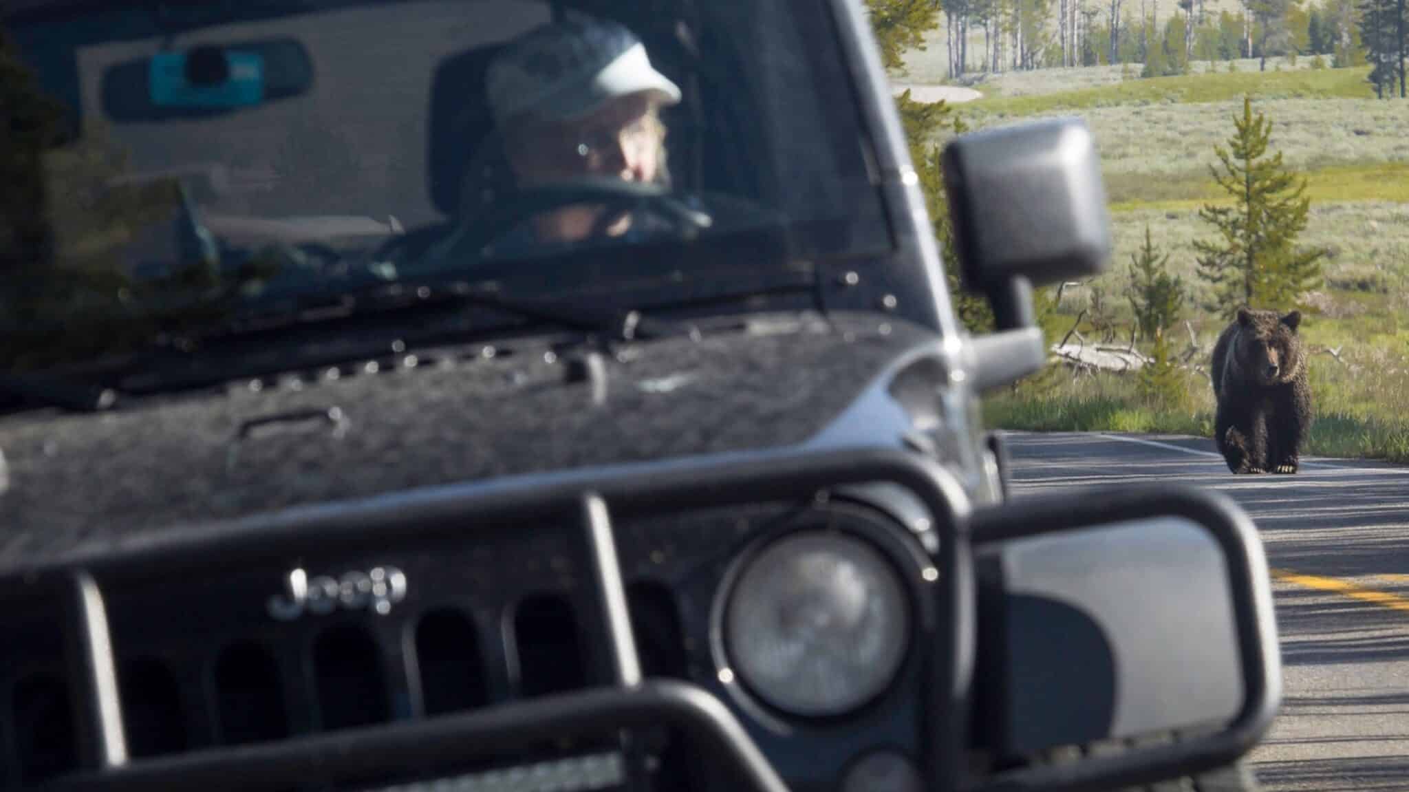 Yellowstone National Park To Open Select Roads and Entrances Beginning April 19th