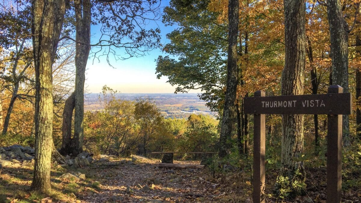 Chronic Wasting Disease Detected at Maryland Mountain Park for the First Time