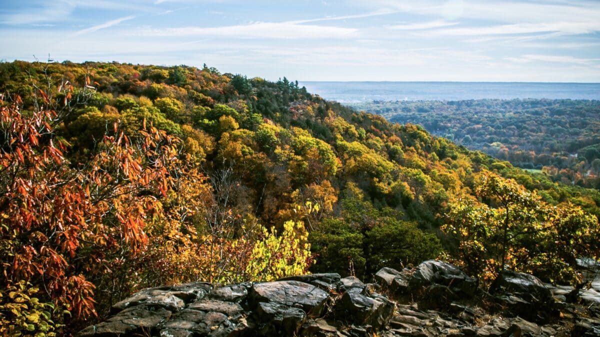 23-Year-Old Hiker Found Dead After Fall in Connecticut State Park