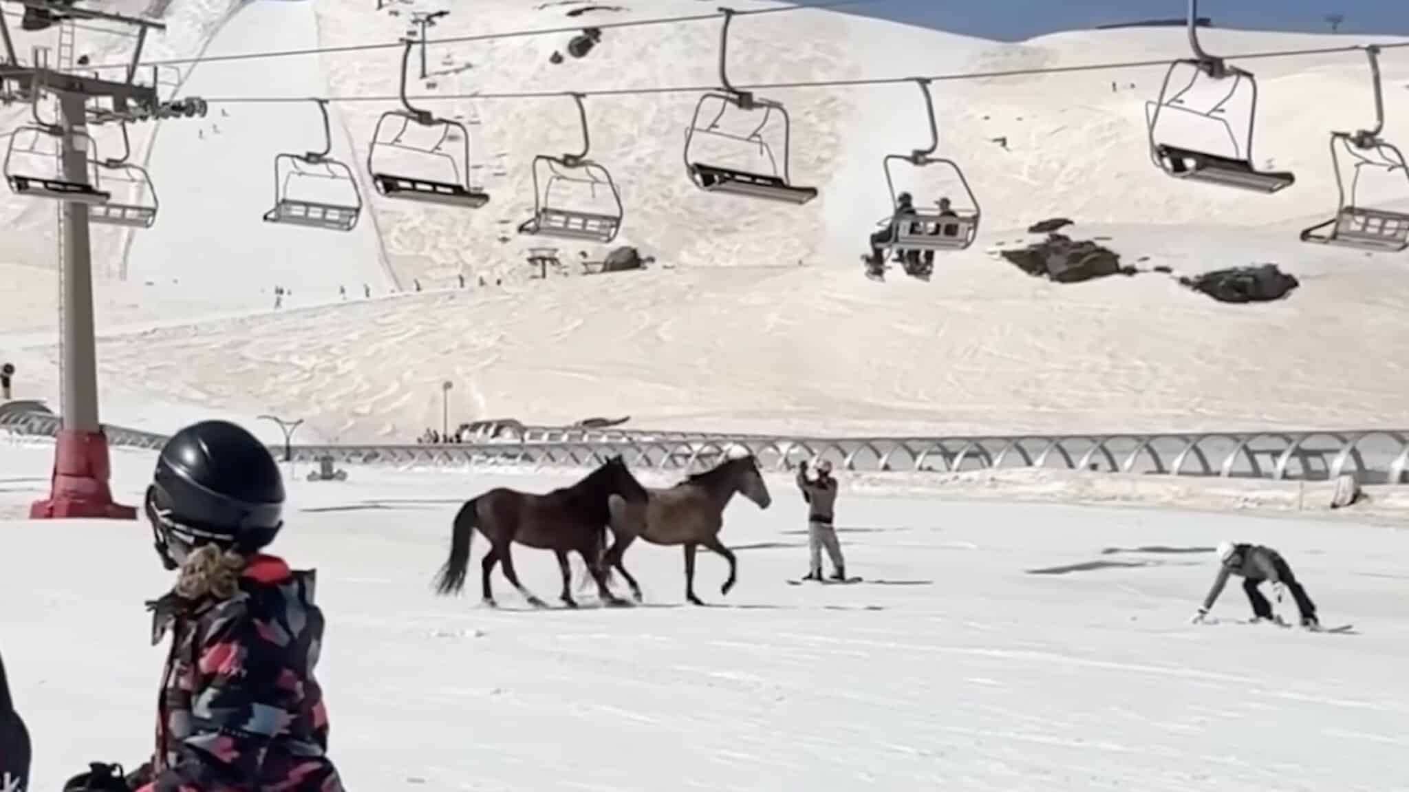 Wild Horses Run Through Spanish Ski Resort Leaving Skiers Stunned