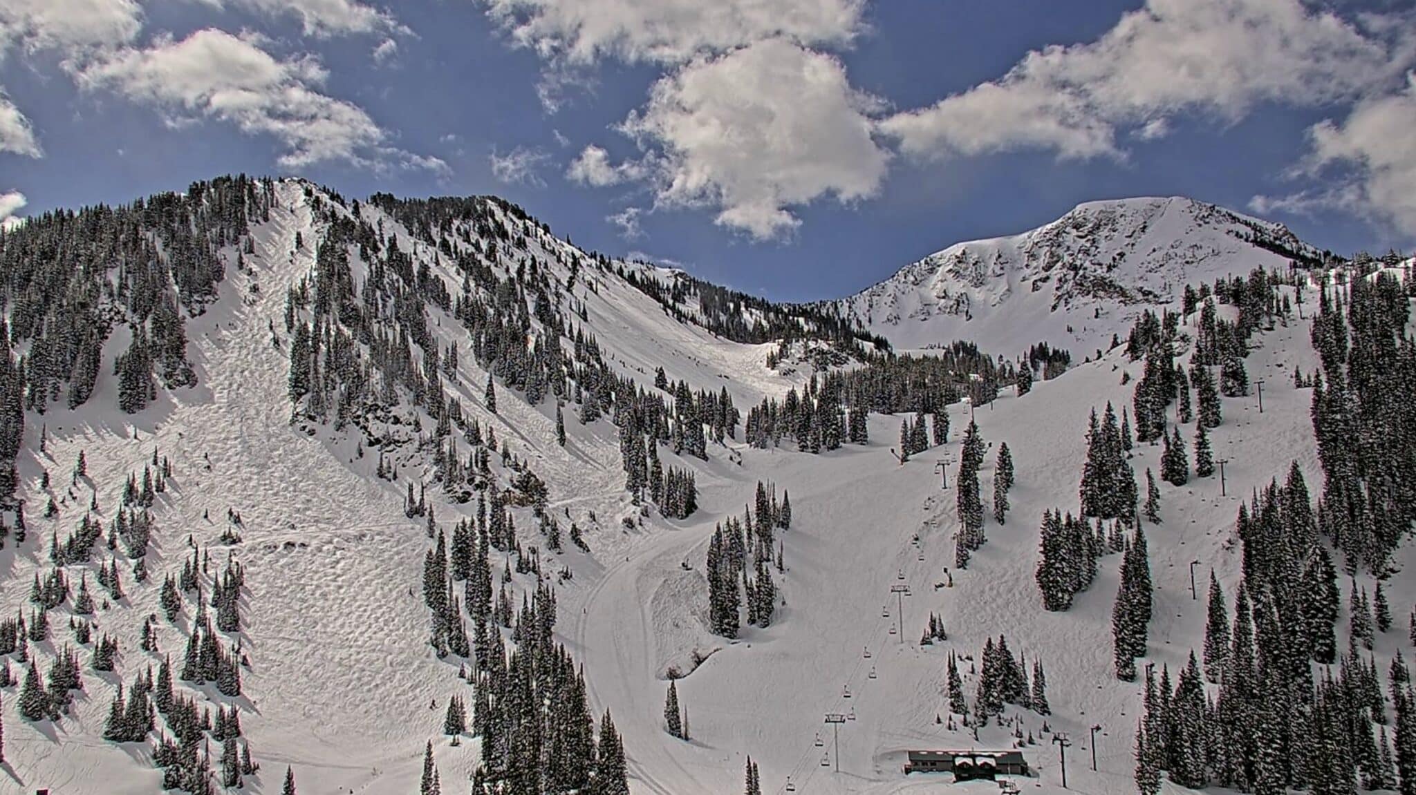 Uphill Travel Is Now Open At Alta Ski Area