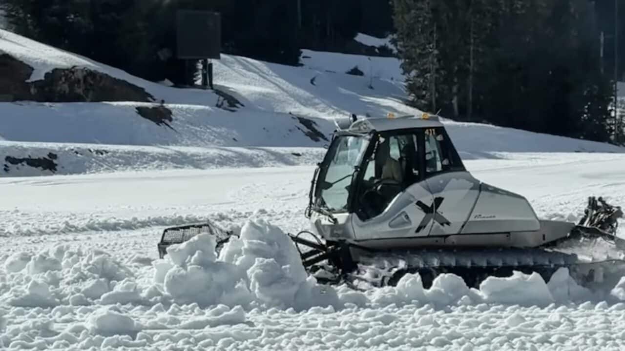 Whistler Mountain Park builds a 24 foot mountain of snow.