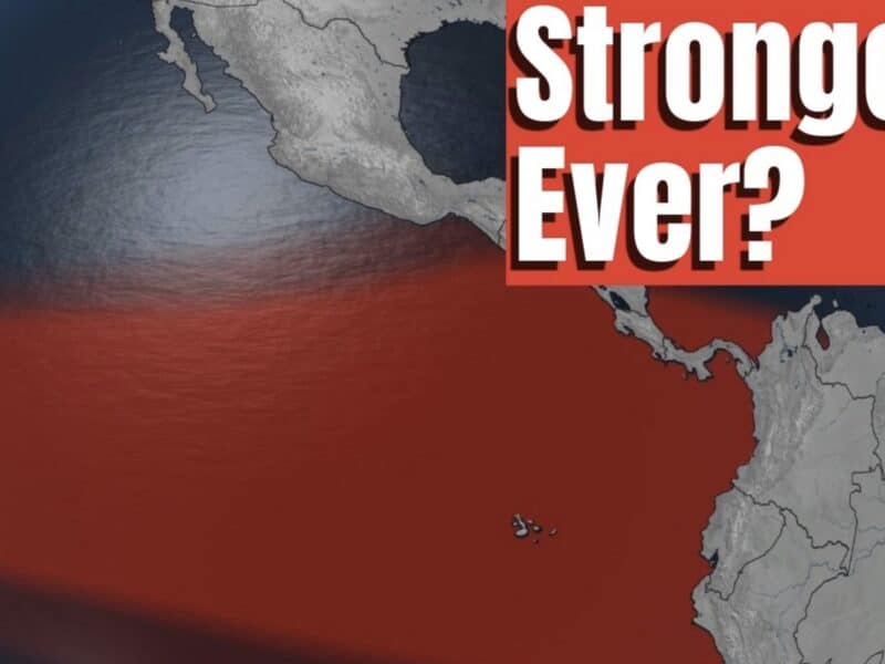 What's in store with the incoming El Niño?