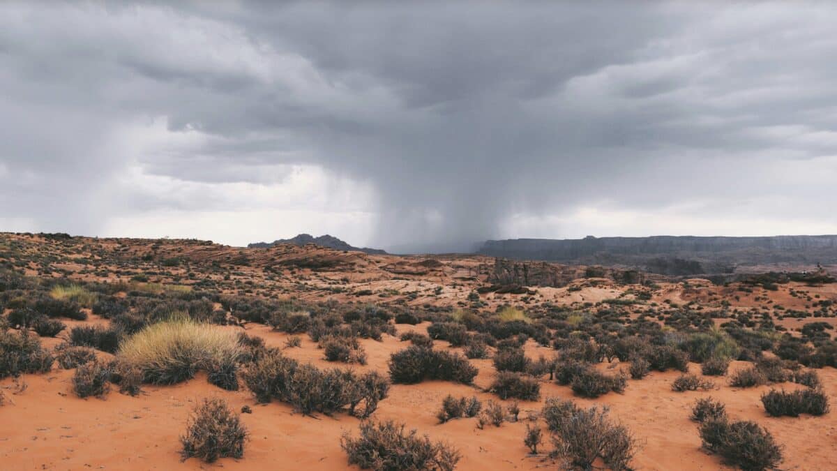 Rainfall in the Arizona desert.