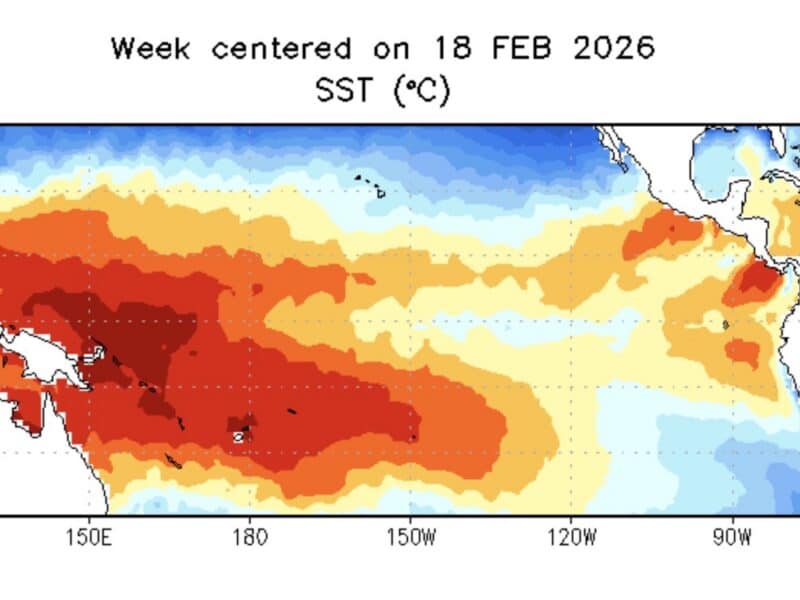 Tropical Pacific Sea Surface Temperature.