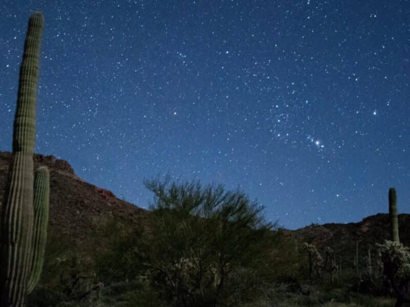 Organ Pipe Cactus National Monument, now a Dark Sky Park.