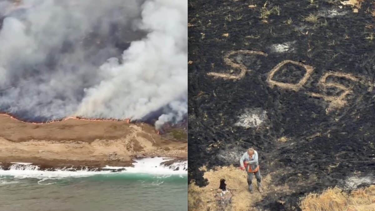 Stranded sailor rescued from Santa Rosa Island in California.