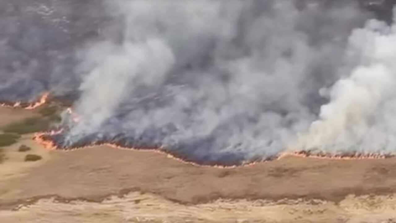 Santa Rosa Island wildfire.
