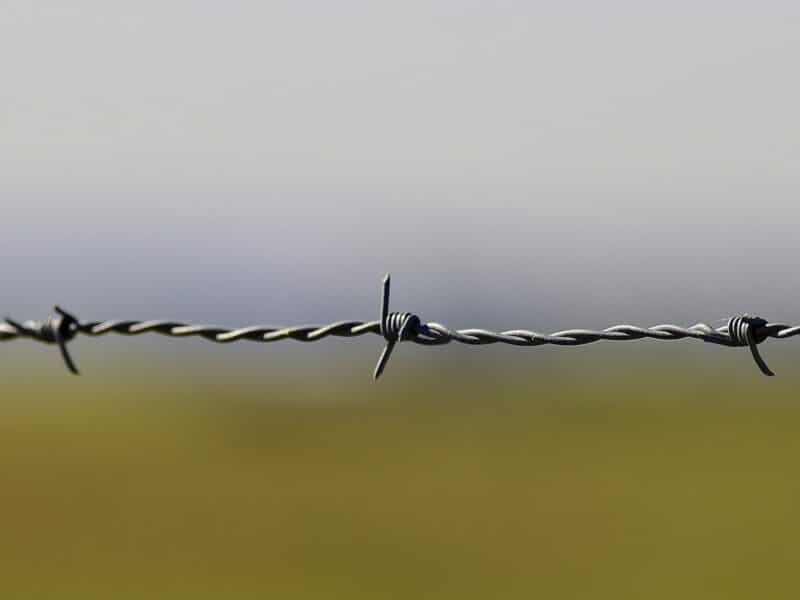 Barbed wire.