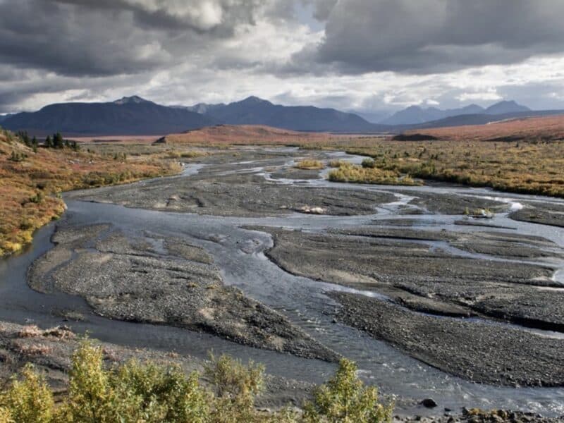 Savage River in Denali National Park.