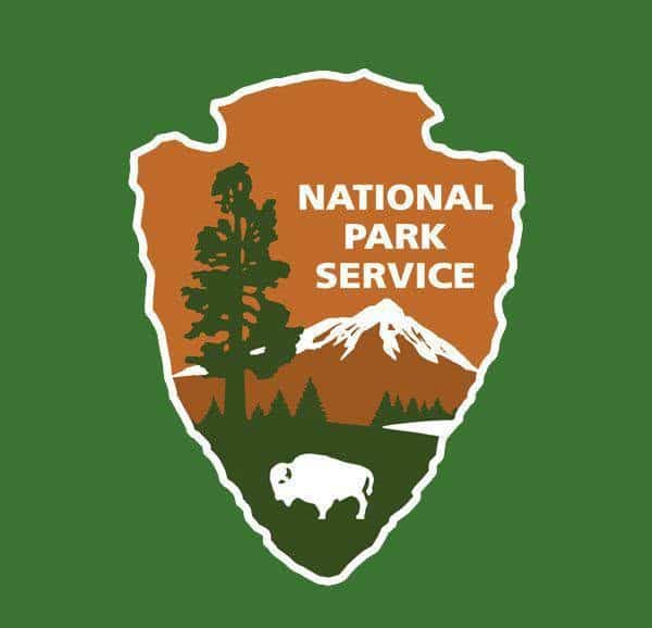 Wildfire Burns Burns 136 Acres in Saguaro National Park