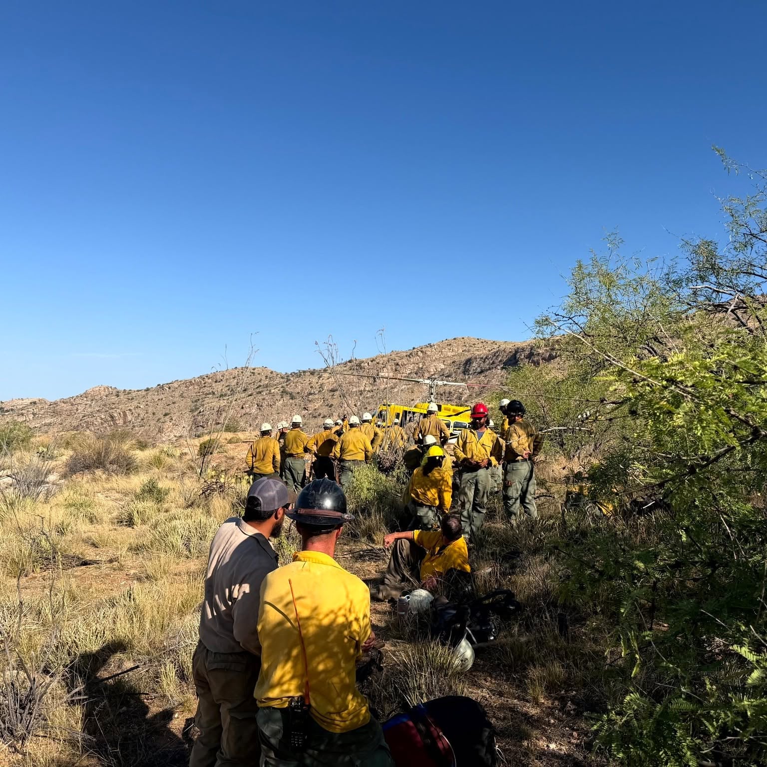 Wildfire Burns Burns 136 Acres in Saguaro National Park
