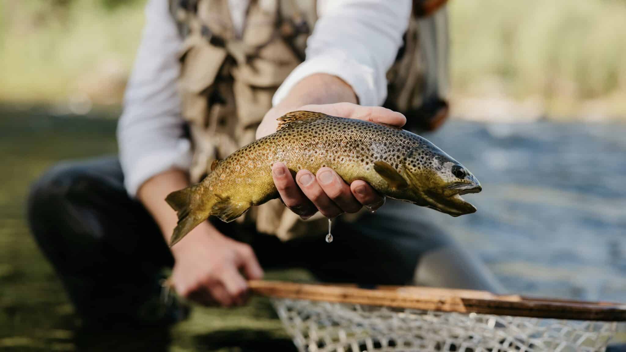 Colorado Offers Free Fishing This Weekend Across The State