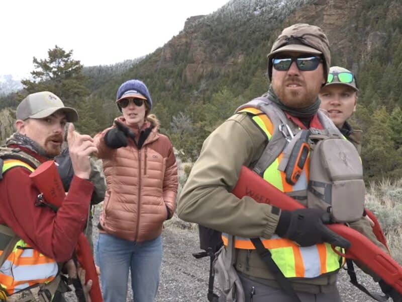 Bears are just one of several potentially dangerous wildlife species in Wyoming.