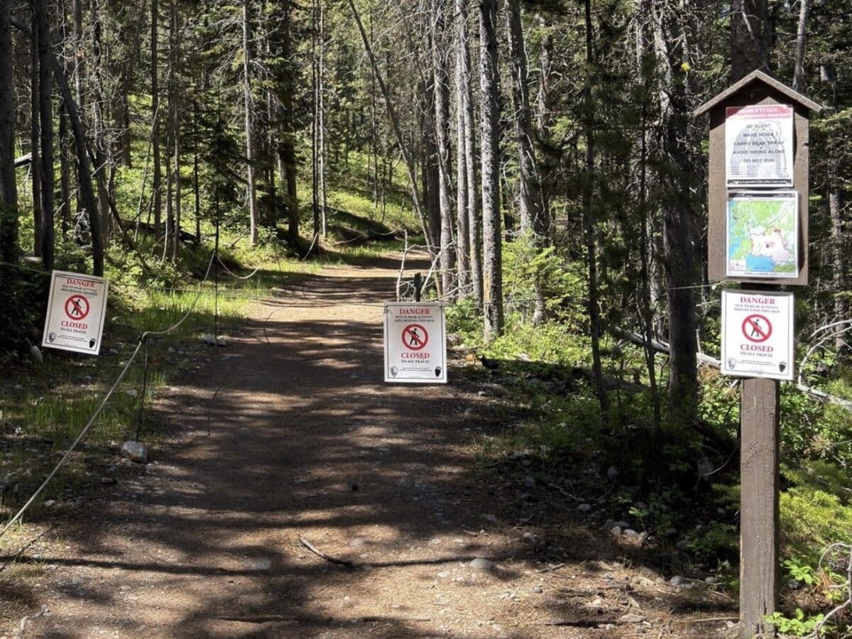 Grand Teton Nation Park bear closures
