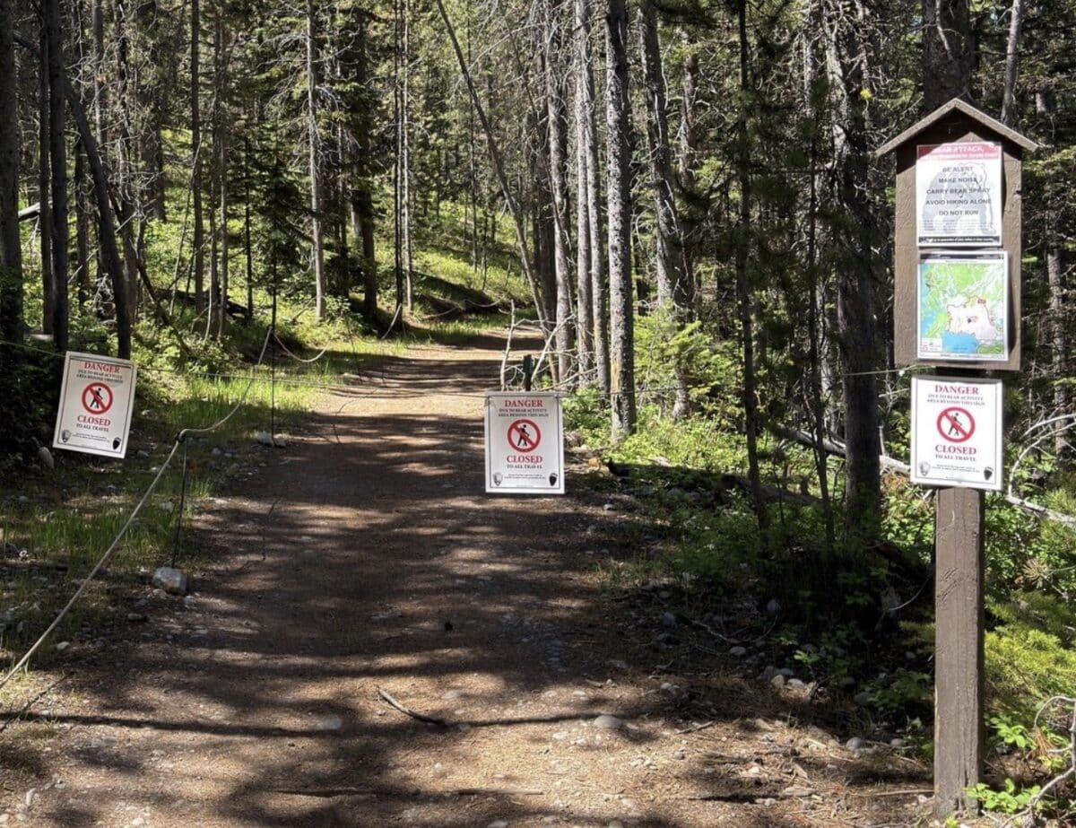 Grand Teton Nation Park bear closures