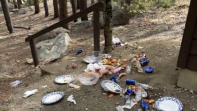 Trash in Arapaho and Roosevelt National Forests.