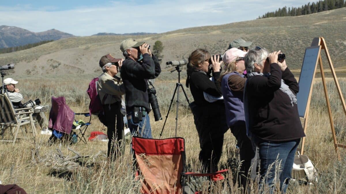 Yellowstone National Park Just Saw Its Busiest May Ever
