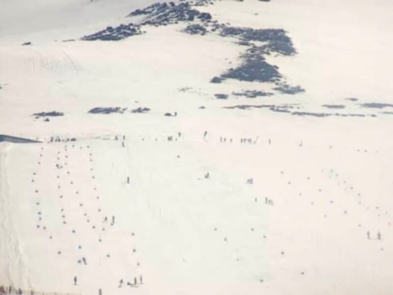 Summer skiing on Timberline Lodge's Palmer Snowfield.