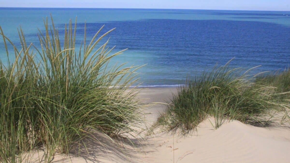 Mount Baldy at Indiana Dunes National Park.