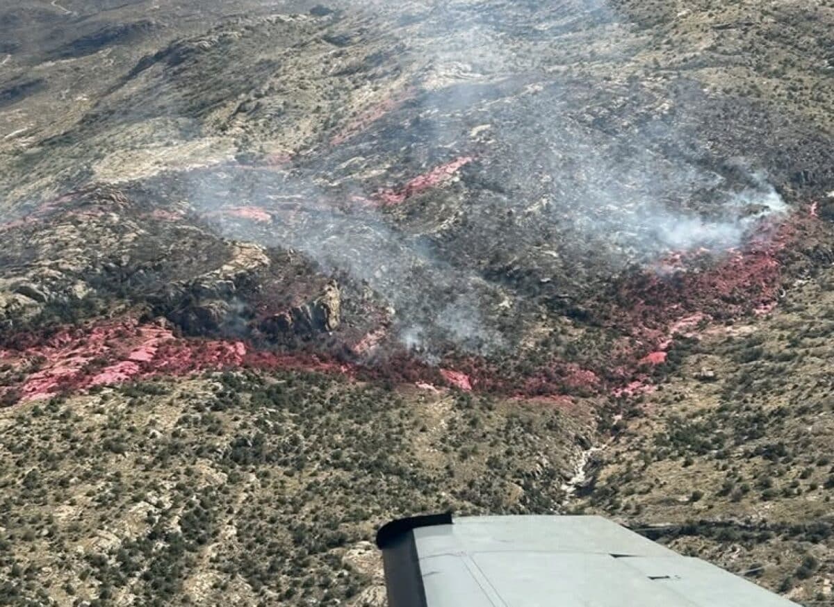 Wildfire Burns Burns 136 Acres in Saguaro National Park