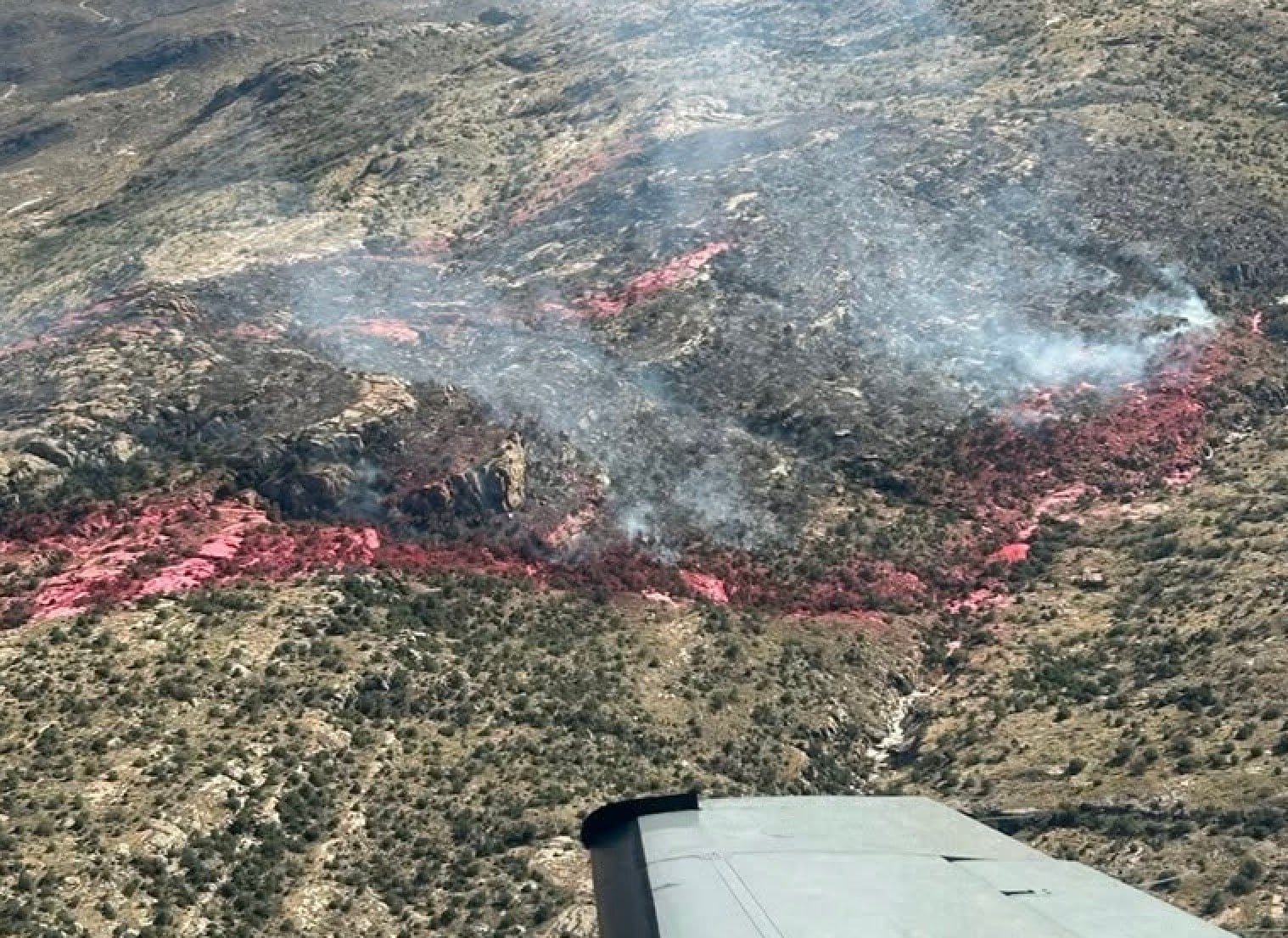 Wildfire Burns Burns 136 Acres in Saguaro National Park