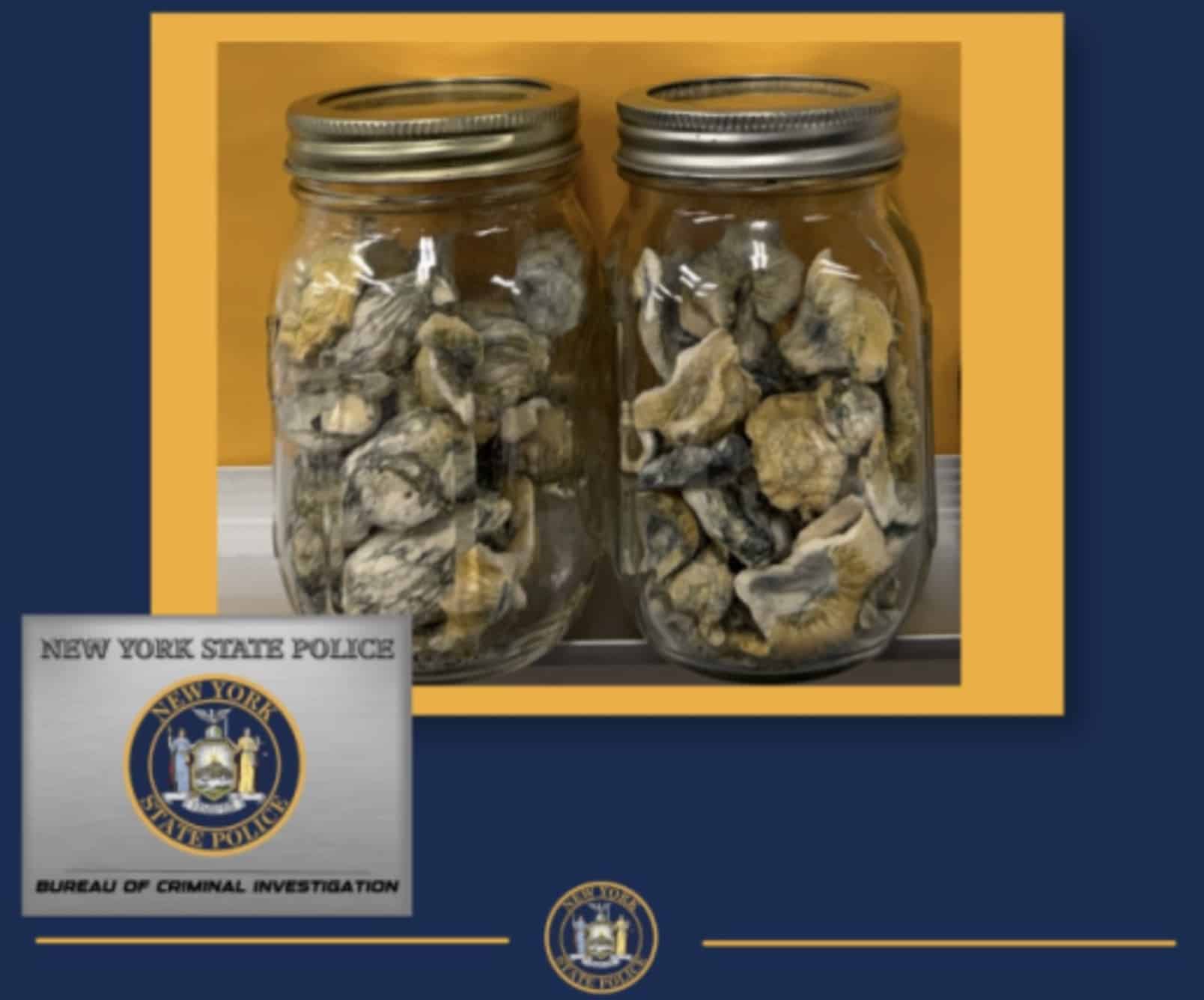 45 grams of psilocybin mushrooms recovered by New York State Police.