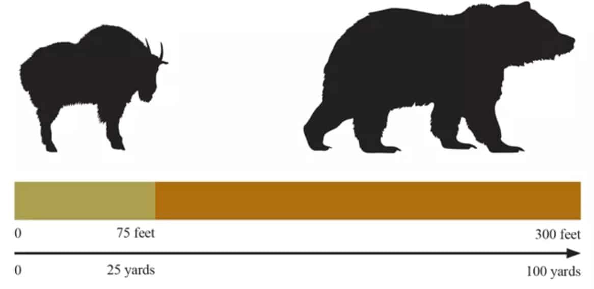 Wildlife safety in Glacier National Park.