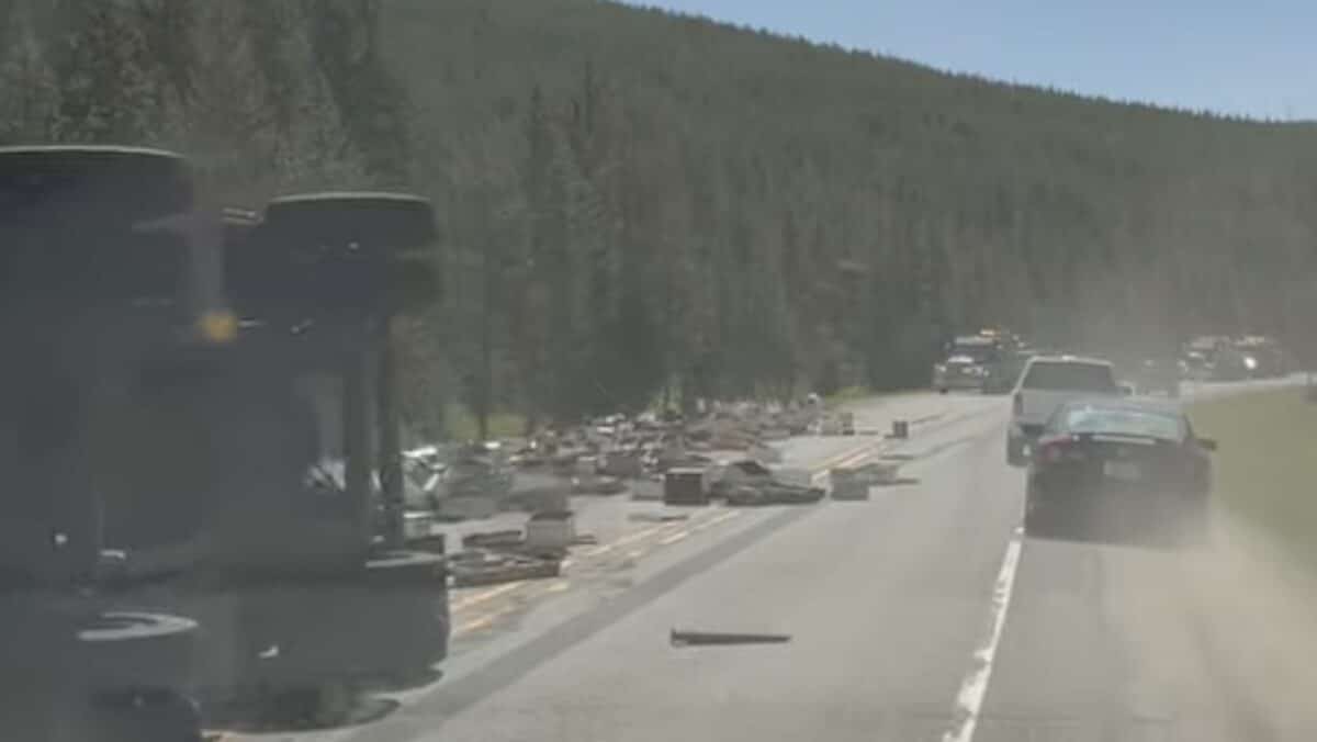 Truck carrying bees crashes in Yellowstone National Park.