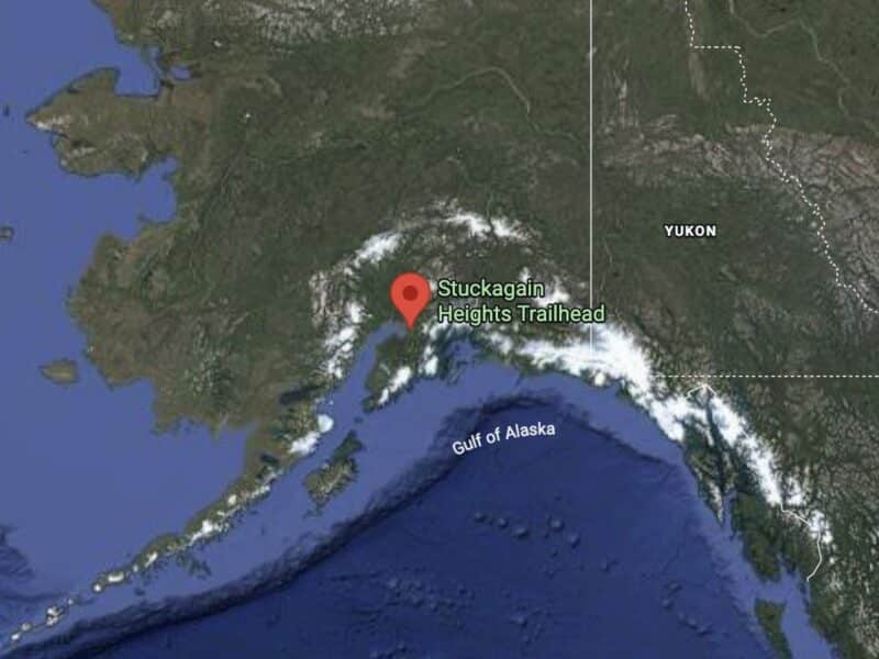 Biker attacked by grizzly bear @ Anchorage, Alaska