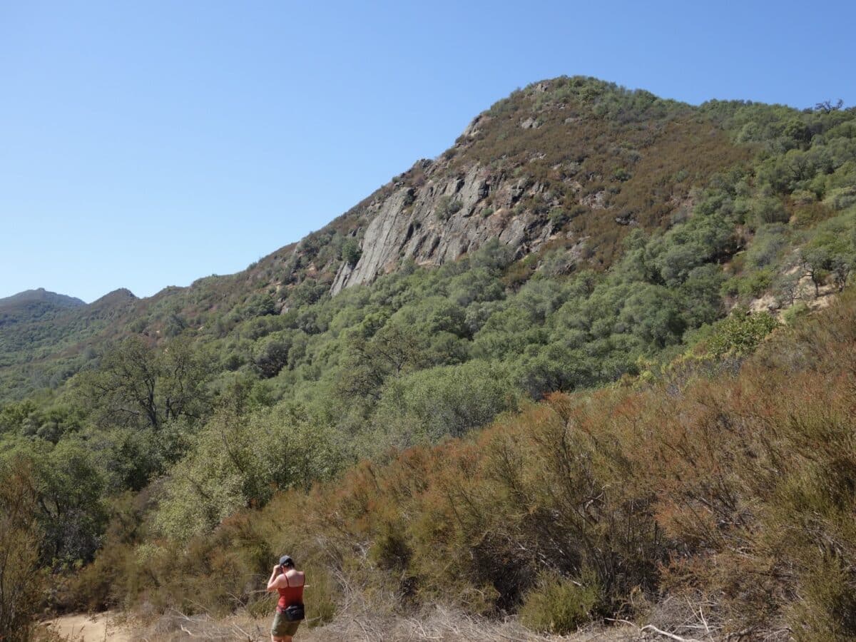 Stebbins Cold Canyon Reserve.
