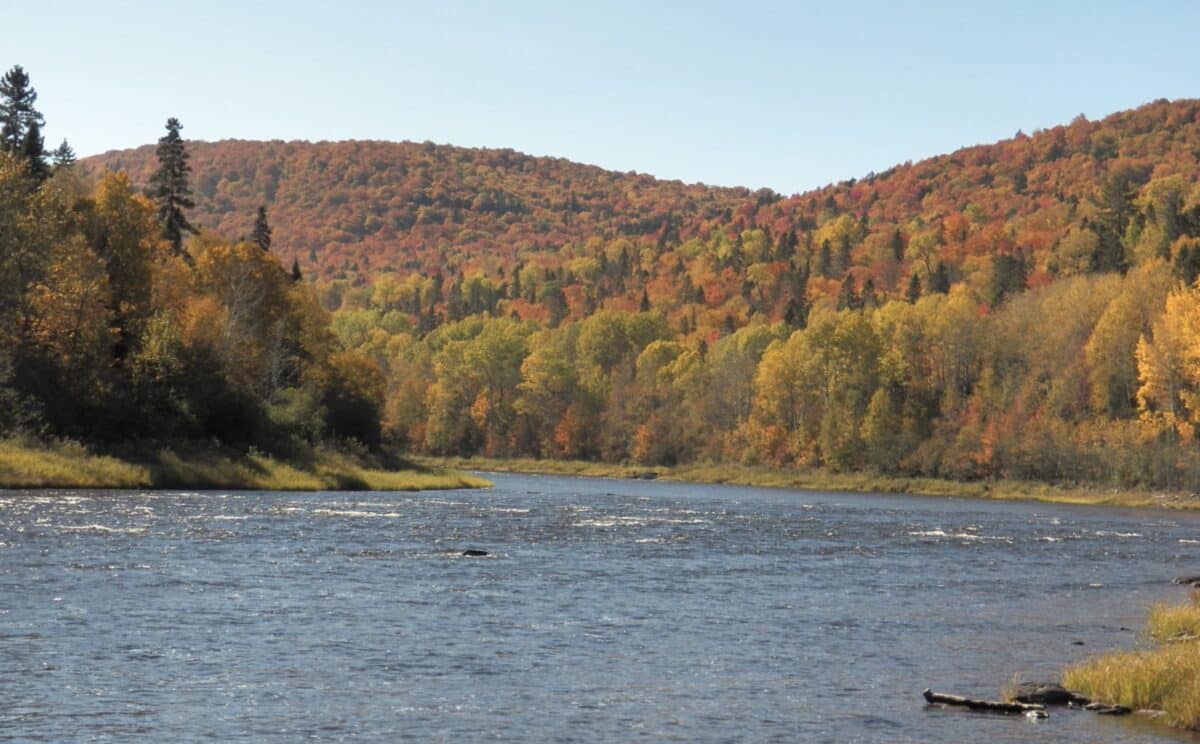 The Allagash in Maine, designated as a wild river in 1970.